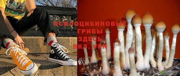 спиды Баксан